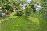 overheadbackyard