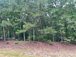 Mountain Ranch Dr Lot 95,  Fairfield Bay, AR 72088