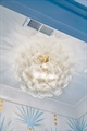 11TabbyLn-KeenEyeMarketing-092