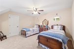 Lighted ceiling fan.