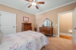 Lighted ceiling fan and crown moulding.