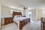3624 Pelican Brief 9
