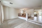 3624 Pelican Brief 21