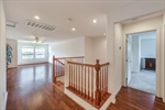 3624 Pelican Brief 34