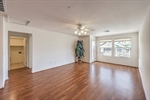 3624 Pelican Brief 35