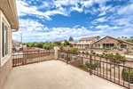 3624 Pelican Brief 37