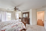 3624 Pelican Brief 41