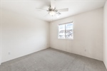 3624 Pelican Brief 51