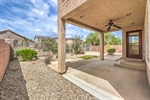 3624 Pelican Brief 55