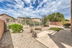 3624 Pelican Brief 56