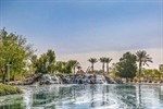 3624 Pelican Brief 64