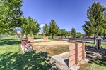 3624 Pelican Brief 67