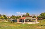 3624 Pelican Brief 68