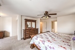3624 Pelican Brief 44