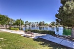 3624 Pelican Brief 63