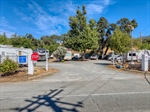 2985 Lakeshore Blvd-33