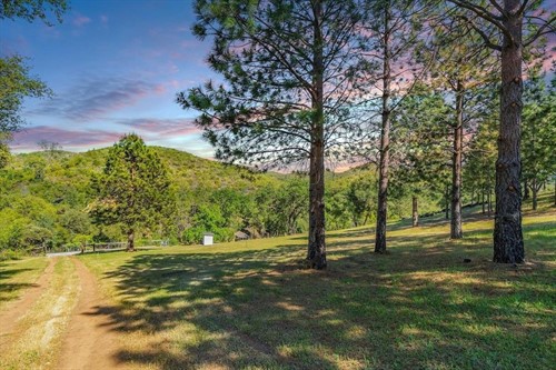 6650 Starlight Ln,  Mountain Ranch, CA 95246