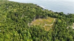 dji_fly_20250910_120238_178_1757532849961_photo_optimized