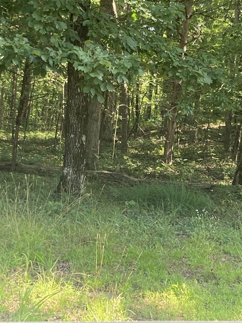 Block 12 Lot 114,  Woodlawn Dr Fairfield Bay, AR 72088