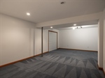 Rec Room Has Closeted Understair Storage With Sump