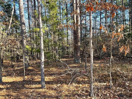 Mountain Ranch Block 3 Dr Lot 38R,  Fairfield Bay, AR 72088