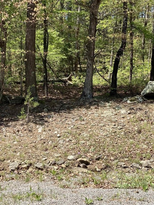 Block 15 Lot 46,  Cambrige Ct Fairfield Bay, AR 72088