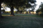 Photo 39