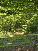 Photo 39