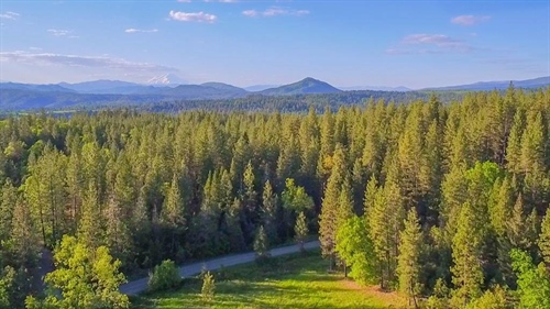 29276 Bullskin Ridge Road,  Oak Run, CA 96069