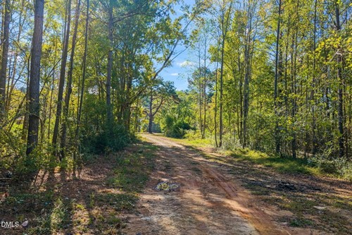 Perdues Rd, Louisburg, NC 27549