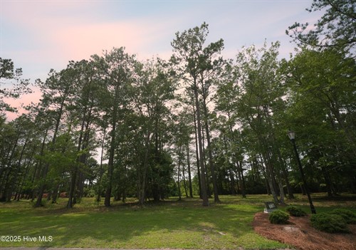 741 Highgate Pl SW Lot 35, Ocean Isle Beach, NC 28469