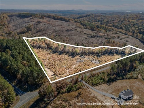 1095 Alleghany Church Rd,  Denton, NC 27239