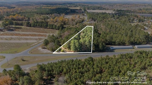 Vacant Us Highway 220 Alt S, Candor, NC 27229