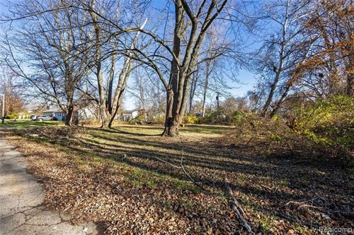 Biddle,  Romulus, MI 48174