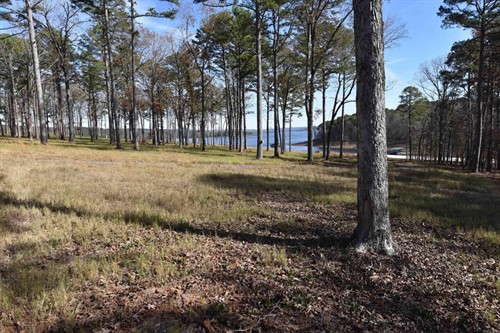 Tract 10 Sunnyside of the Bay, Fairfield Bay, AR 72088