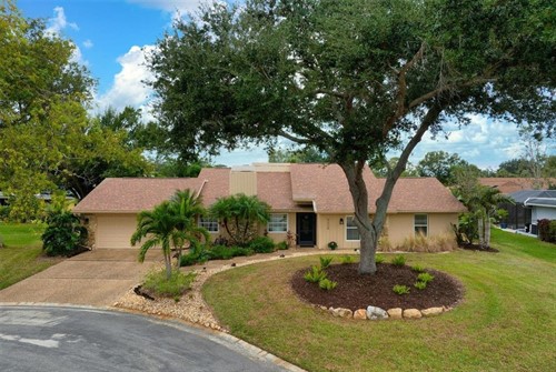 4228 Francis Bacon Ln, Sarasota, FL 34241