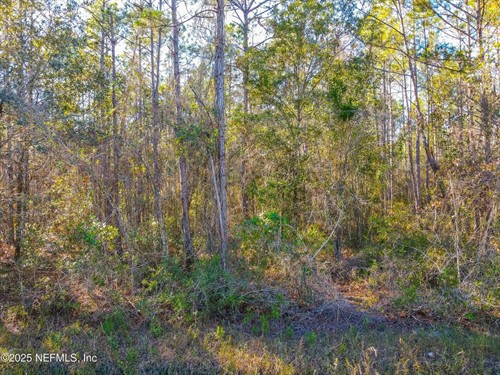 10265 Flikkema Ave,  Hastings, FL 32145