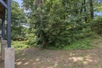 Wooded and nature-filled backyard area.