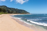 68-1031 Farrington Hwy-49