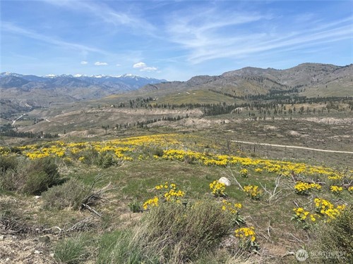 High Ranch Rd Lot 4,  Methow, WA 98834