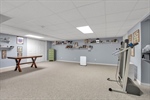 Carpeted 35 ft Rec Rm + additional storage closets