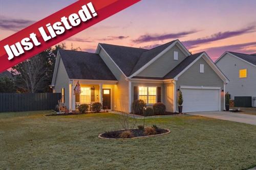 390 Catalina Cut,  Richmond Hill, GA 31324