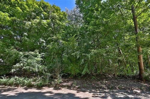 1013 Berry Ln,  Edwardsville, IL 62025