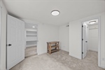 Basement bedroom or flex space with walk-in closet