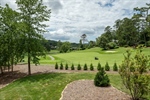 Level backyard