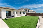 Backyard-042-040-1499x1000