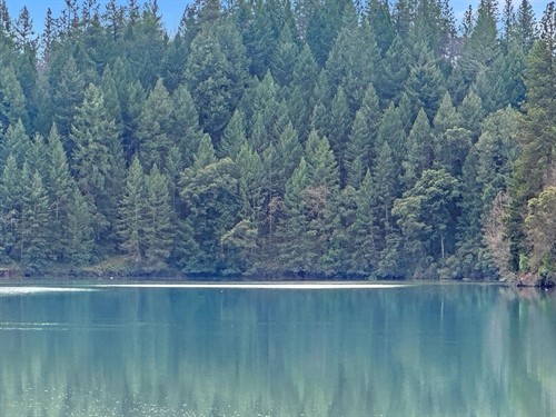 17871 Rollins View Dr, Grass Valley, CA 95945