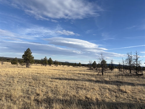 County Rd A16C<br/> Falls Creek Meadow, Mineral Hill, NM 87701