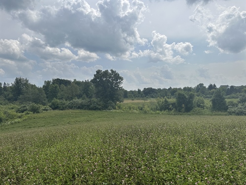 Heim Rd,  Chelsesa, MI 48118