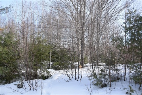 M7 L13-1 Pine Bluff Rd,  Embden, ME 04958